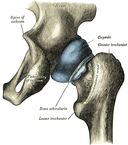 You Can Get Relief for These 5 Painful Hip Conditions: Dr. Stem Cell:  Regenerative Orthopedics